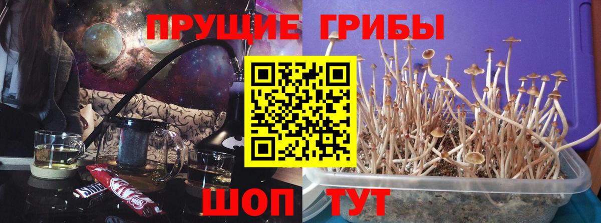 Псилоцибиновые грибы ЛСД  Вход с VPN  Слободской 